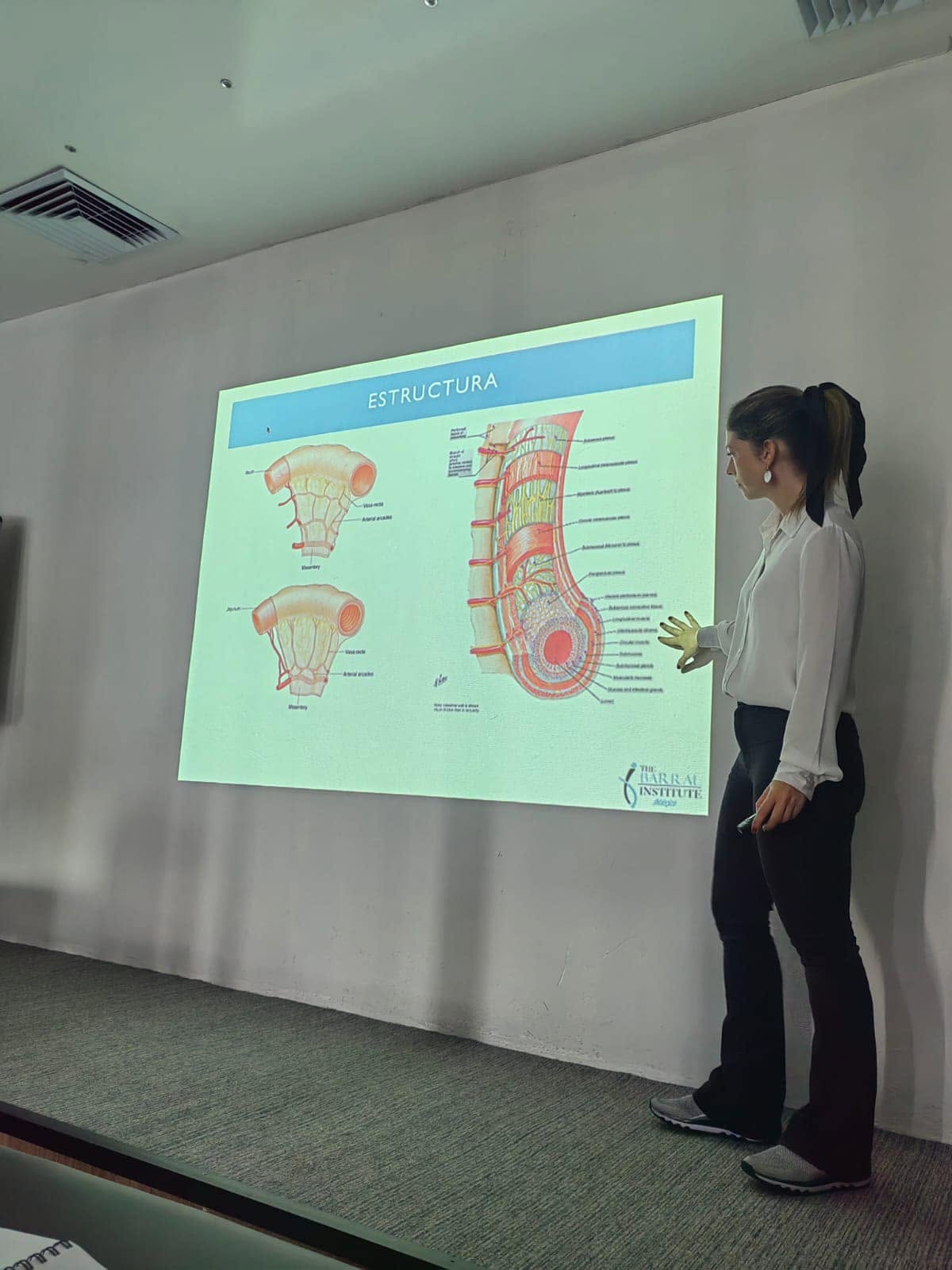 Docente explicando la anatomía del yeyunoíleon durante la formación VM1
